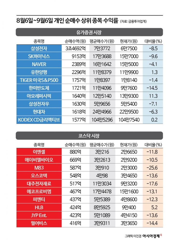 '블랙 먼데이' 이후 한달…저가 '줍줍'한 개인만 울상