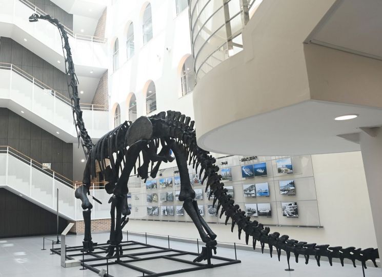 부경고사우루스.