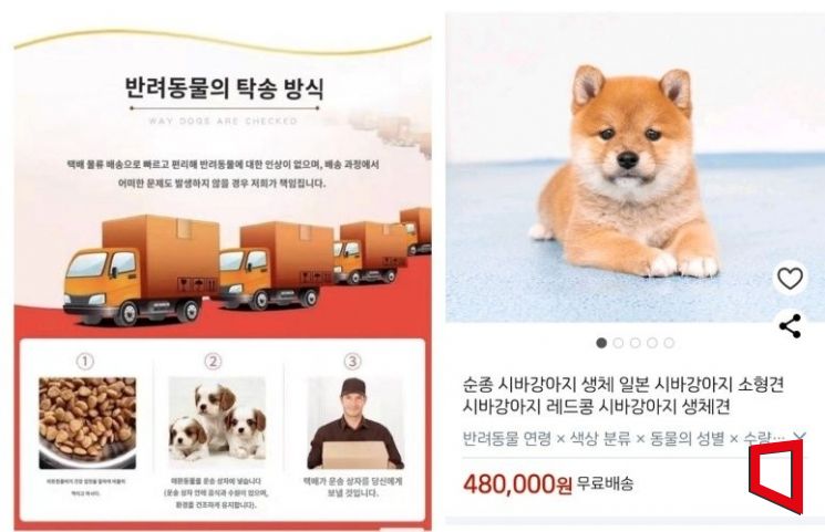 "강아지 택배 배송합니다"…동물권단체, 쿠팡 판매업체 등 고발