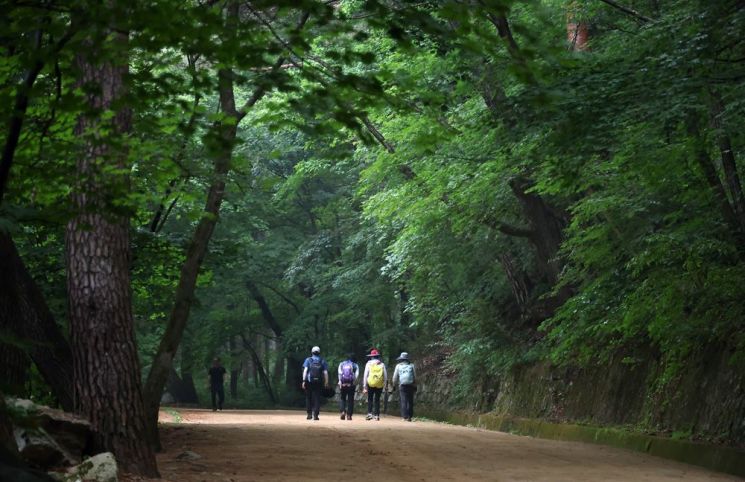 문경새재 황토길을 걷고 있는 사람들