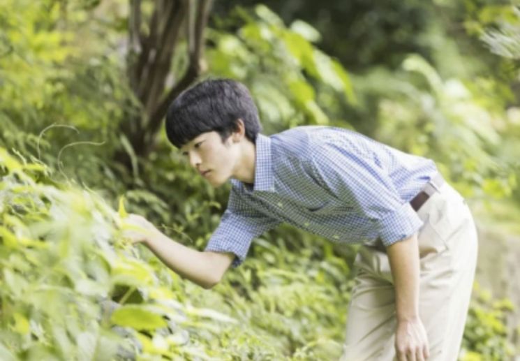 이제 막 성인이된 日 왕자의 '잠자리 논문', 특혜 논란으로 번져