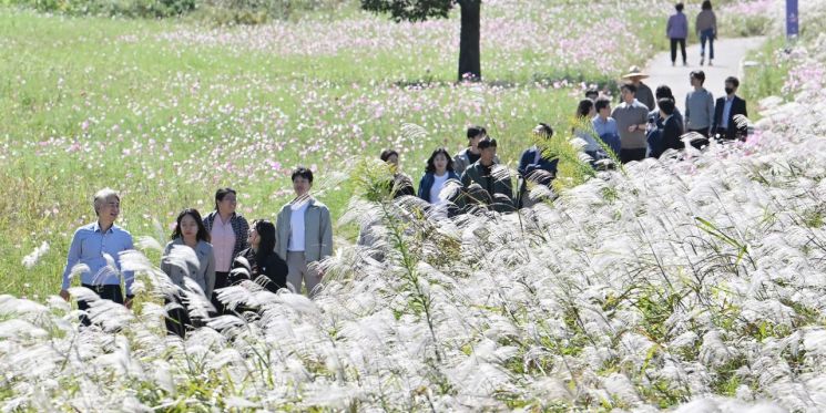 "영산강변 붉은노을 머무는 억새의 향연" 펼쳐진다