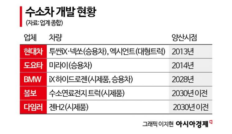 BMW "다양한 수소차 양산" 도요타·현대와 손잡아