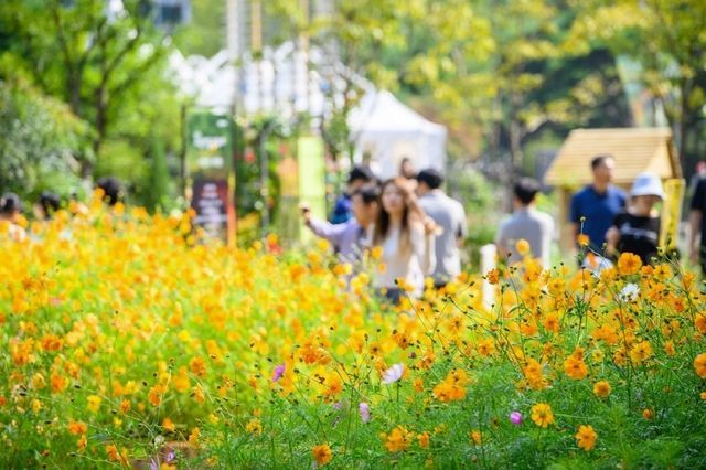 2023 고양가을꽃축제. ＜사진=고양시＞