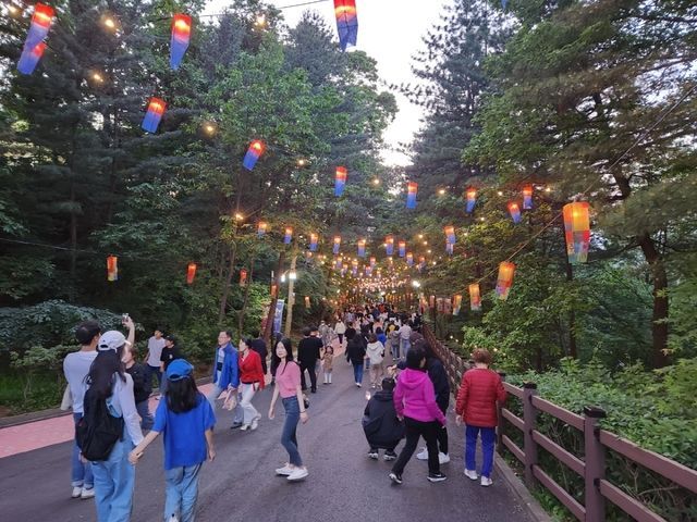 고양시, 꽃·예술·야경 담은 다양한 가을축제 개최