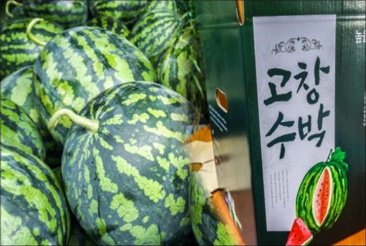 '고창수박' 지리적표시 농산물 등록…"명칭보호 받는 특산물로 자리 잡아"