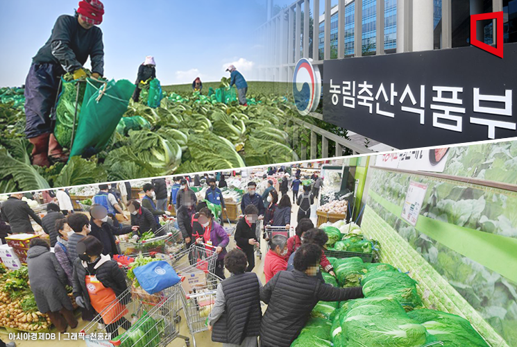 농식품부 "배추, 당분간 공급 감소 불가피…출하장려금·할인지원 지속할 것"