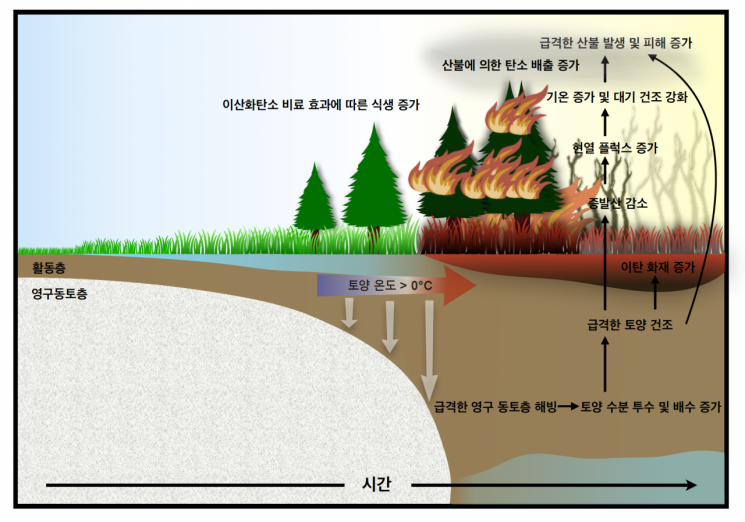 가속화된 지구온난화로 인해 급격한 영구동토층 해빙에 따른 북반구 극지역 산불 강화 메커니즘에 대한 모식도.