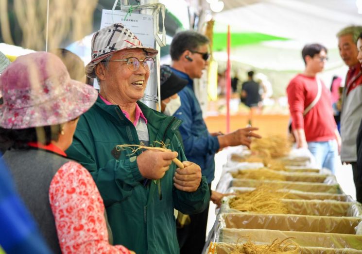 영주시가 ‘경북영주풍기인삼축제’를 개최한다.(사진은 지난해 축제현장)