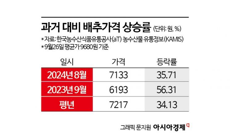 1만원 육박 金배추…대형마트, 6000원대 '오픈런' 비결은?