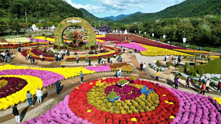 작년 '인제 가을꽃축제' 모습. ＜사진제공=인제군청＞