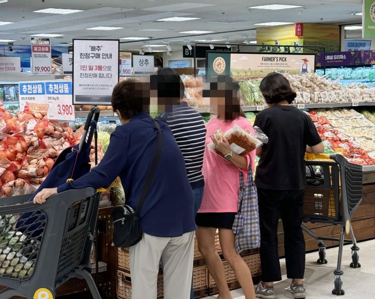 1만원 육박 金배추…대형마트, 6000원대 '오픈런' 비결은?