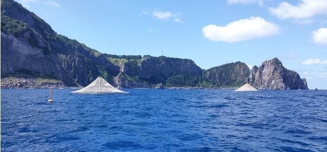울릉도 심해 가두리 사업, 수십억 예산 쓰고 끝내 폐기
