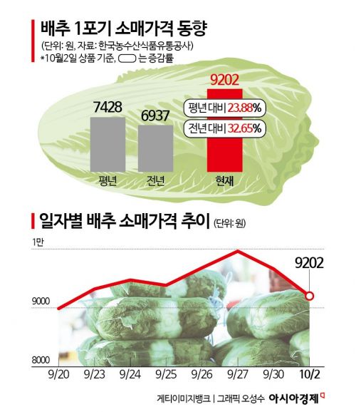 "종가집도 비비고도 품절"…포장김치, 온라인몰 판매 중단