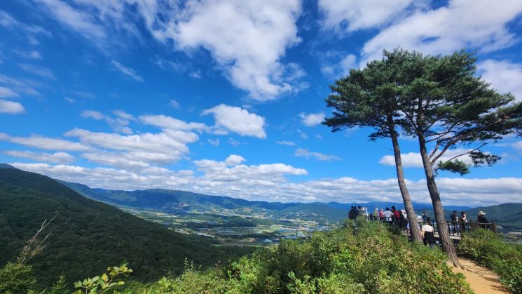 “청정 자연을 걷자”… ‘강원 DMZ 힐링 숲길걷기’ 