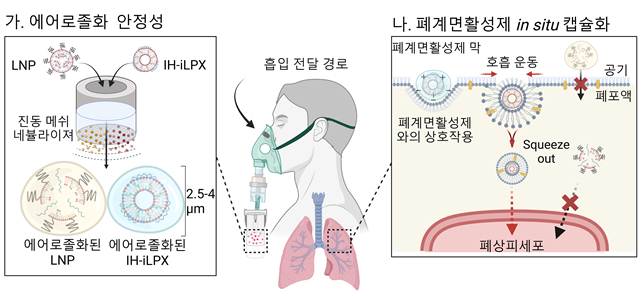 KAIST, 폐질환 치료효과 높일 ‘나노 전달체’ 개발