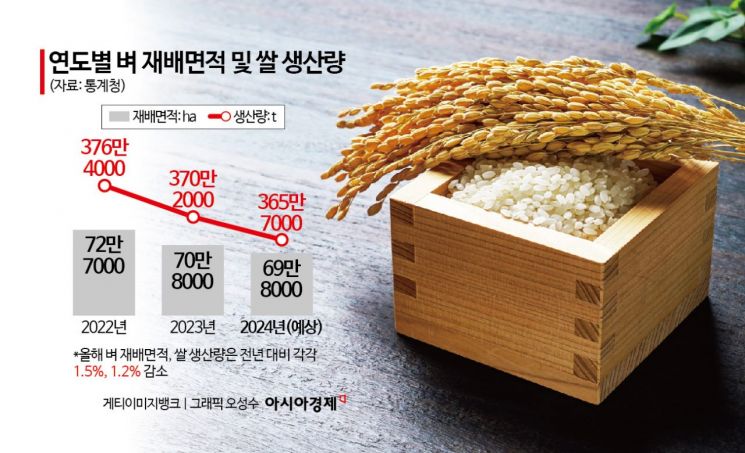 올해 벼 재배면적 '역대 최저'…쌀 생산량 1.2% 감소 전망