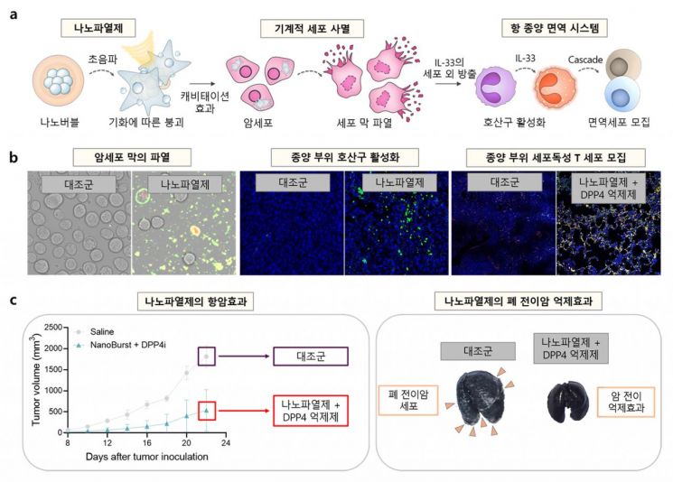 국립부경대·한국공학대·성균관대, 세계 최초 ‘나노기포’ 이용 암치료 신기술 개발