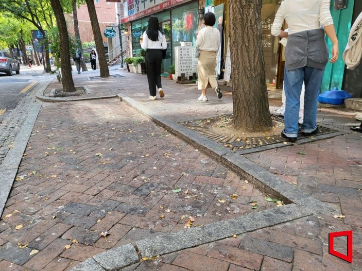 "경로당에서도 이제 안 받아요"…수억 들여 은행나무 바꾸는 서울시