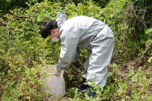 "국내에 이미 토착화했다"…'제2의 에이즈'로 불리는 이 병의 실체