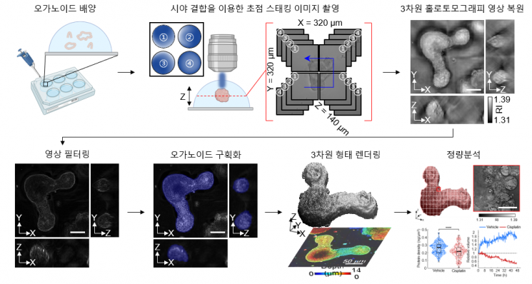 KAIST “인체 장기의 동적변화 실시간 관찰…질병연구 등 기여”