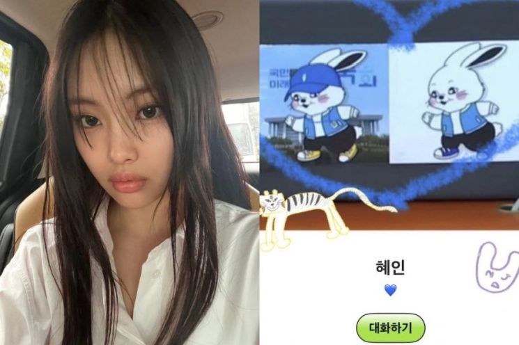 뉴진스 혜인, ‘민주당 버니즈’로 프로필 변경…'정치색' 논란 일자 결국 삭제