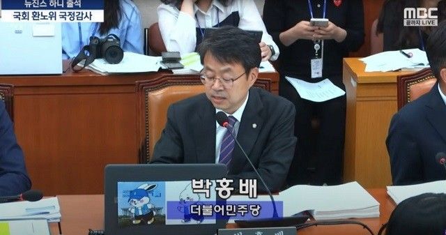 뉴진스 혜인, ‘민주당 버니즈’로 프로필 변경…'정치색' 논란 일자 결국 삭제