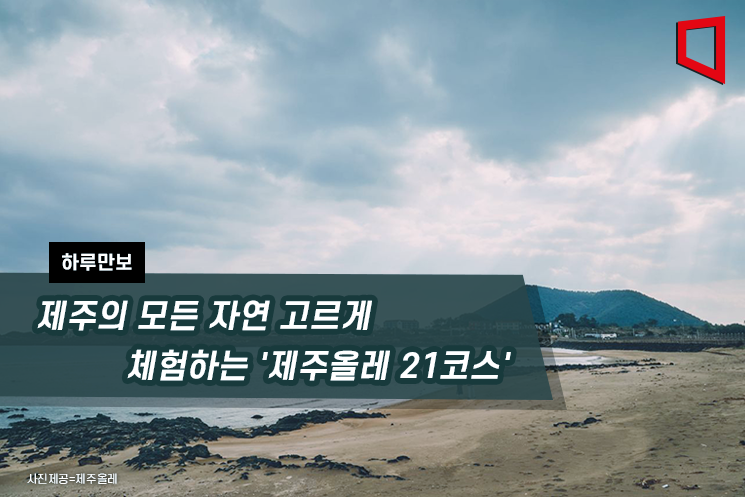 [하루만보]제주의 모든 자연 고르게 체험하는 '제주올레 21코스'