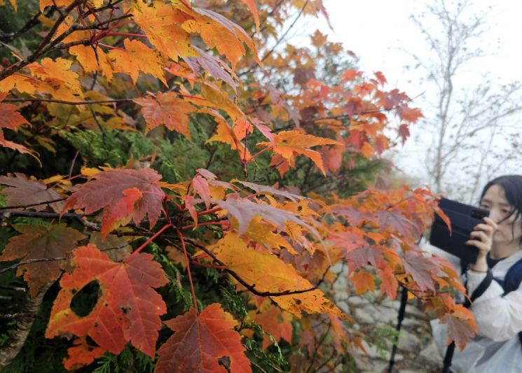 단풍 ‘절정’ 설악산…‘삐끗’ 산악사고 조심하세요