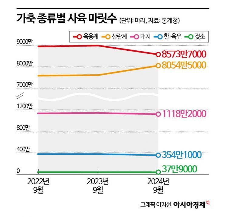정부, 반년째 "내수회복 조짐" vs 한은 "저점 찍어" [3분 브리프]