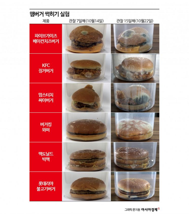 [햄버거 썩히기]②만개한 곰팡이꽃…맥도날드 등 2종은 멀쩡했다