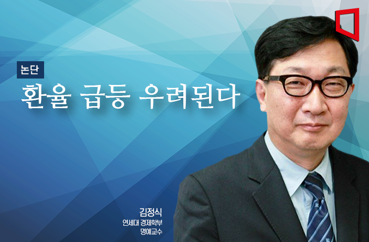 [논단]환율 급등 우려된다