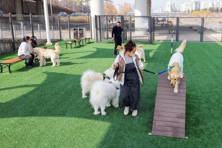 동대문구, 댕댕이와 행복한 공존 위한 ‘반려견 행동교정 아카데미’ 운영