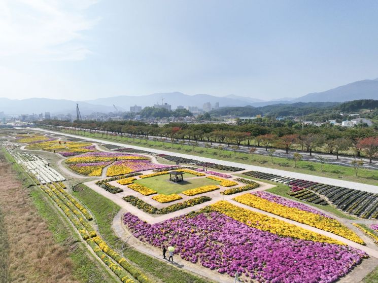 10월26일과 27일 열리는 강원도 양양남대천 국화축제가 열리는 국화정원 모습.＜사진 제공=양양군청＞