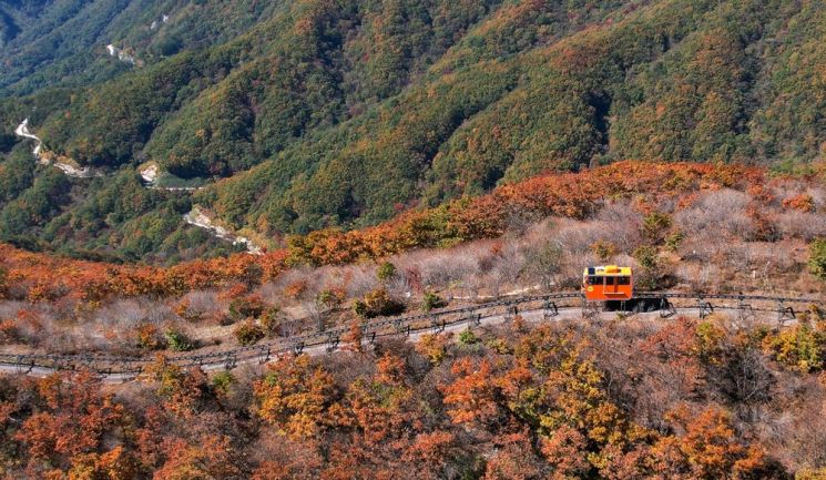 함양 대봉산휴양벨리 모노레일(함양군청)