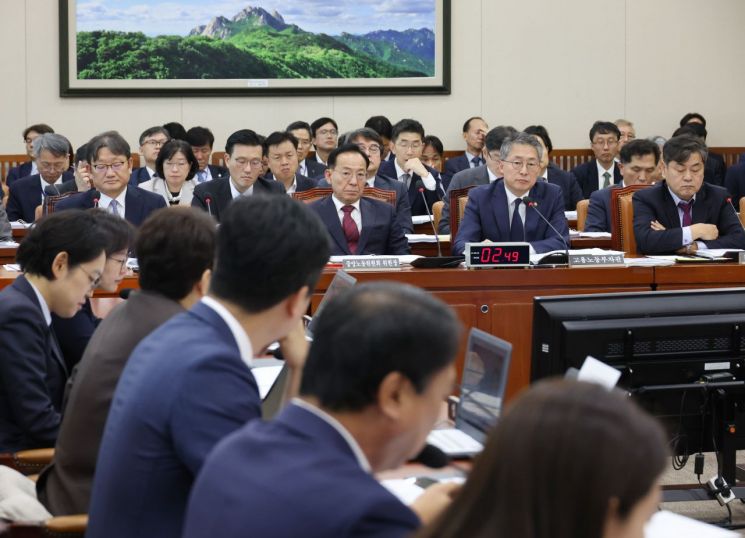 [2024 국감]김민석 고용차관 "정년연장, 임금체계 개편 전제해야"