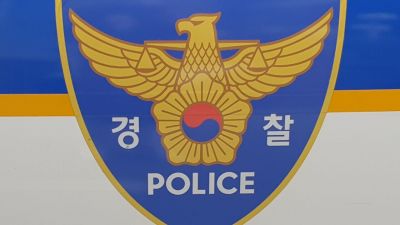 아들에 폭행 당한 90대 노모 "그래도 밥 챙겨줘야 해"