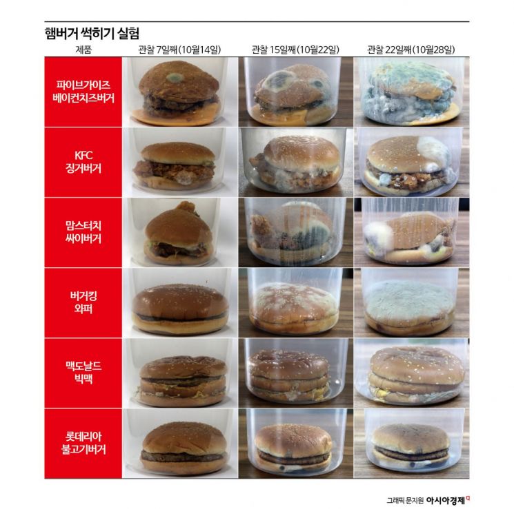 햄버거는 썩지 않는다?…3주 지나니 단 '2개'만 살아남았다[햄버거 썩히기]③