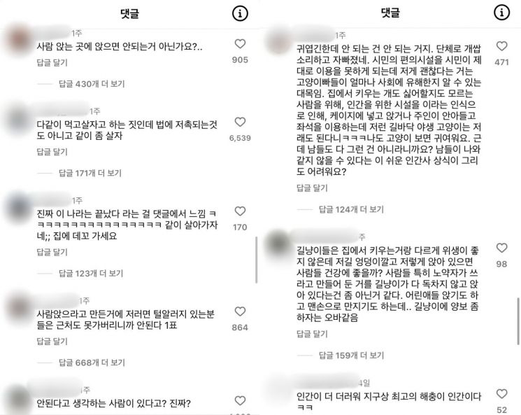 在公交车站内，有网民围绕坐在加热座椅上的猫咪照片展开激烈争论。SNS截图供图