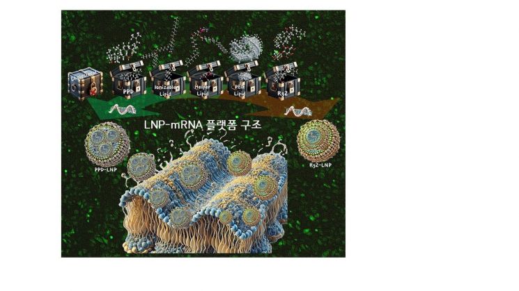 지노믹트리, mRNA 기반 치료제 플랫폼 기술 영국 왕립화학회 저널 표지 논문 채택