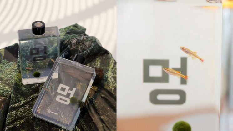 세남자바스켓, 일상 속 소소한 즐거움 주는 ‘멍 보틀’ 선봬