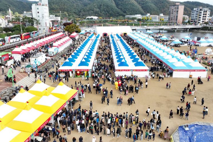 제18회 청송사과축제.