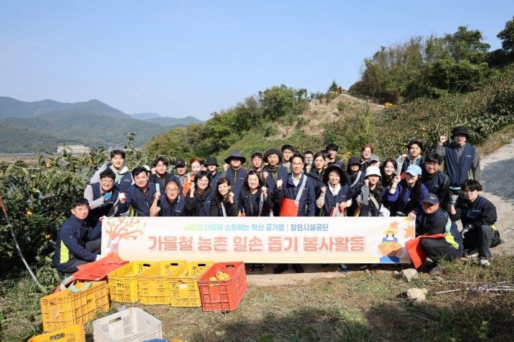 단감수확 봉사활동.