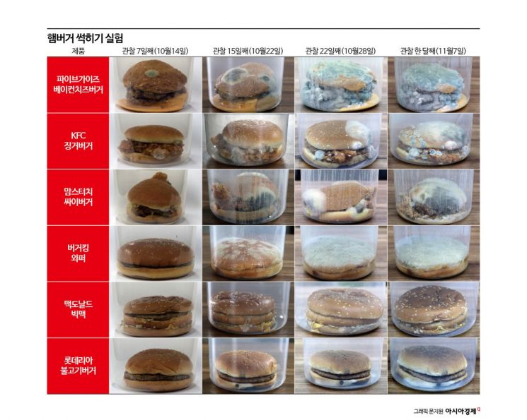 31일간 '빅맥'만 썩지 않았다…햄버거 회사가 답한 그 이유[햄버거 썩히기]④