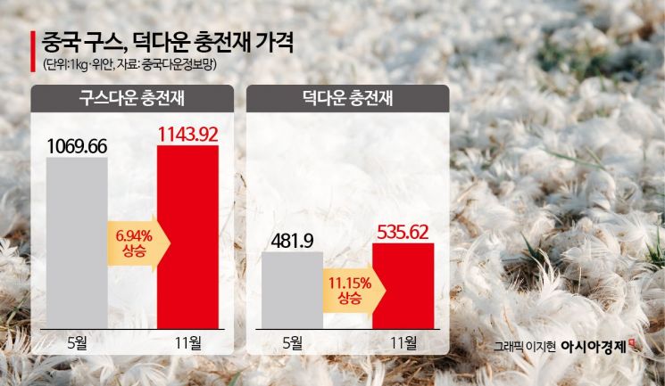 비싸진 이유가 이거였어?…10만원 vs 500만원 극과극 패딩가격[조선물가실록]