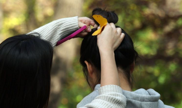 [조용준의 여행만리]나무도, 땅도 황금빛…50년만에 열린 비밀의 숲