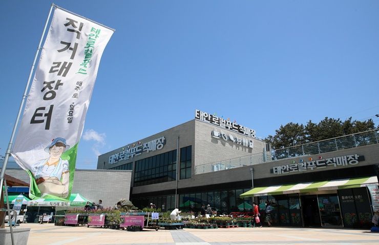 태안군, 김장철 맞아 안면도 절임배추와 김장양념 특판 
