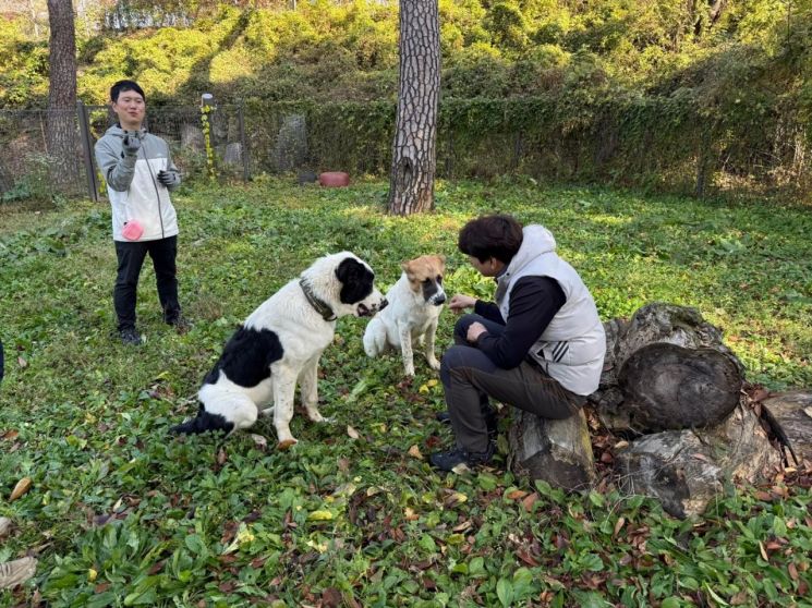 서울대공원에서 해피와 조이가 산책 후 휴식을 취하고 있는 모습. 대통령실