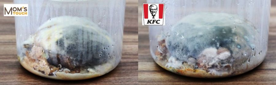 햄버거 썩히기 실험 34일째 맘스터치 싸이버거(왼쪽)와 KFC 징거버거(오른쪽)의 모습. 윤동주 기자