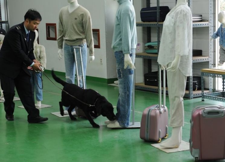 30대 여성에 "생리대도 벗어라"…마약검사 결과 '이상무' 알고보니